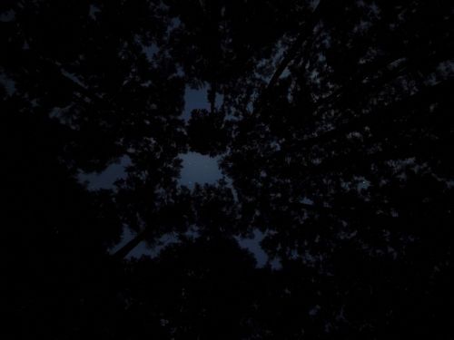 大阪の村 campsite麓 ソロキャンプ フリーサイト おっとまんSさんのキャンプブログ CAMPiii（キャンピー） -キャンプ専用SNS キャンプのすべてがここに集まる-