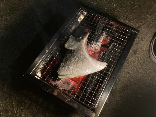 これはキャンプ...？？ 青海島 ファミリーキャンプ masaさんのキャンプブログ CAMPiii（キャンピー） -キャンプ専用SNS キャンプのすべてがここに集まる-