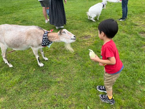 Vol.6 避暑地 fuji camp village(フジ キャンプ ビレッジ) ファミリーキャンプ 区画サイト こなたさんのキャンプブログ CAMPiii（キャンピー） -キャンプ専用SNS キャンプのすべてがここに集まる-