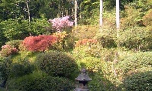 CAMPiii(キャンピー) ロマンチックあげる夫さんのキャンプブログ データに残っている最も古い庭BBQ 秋田市