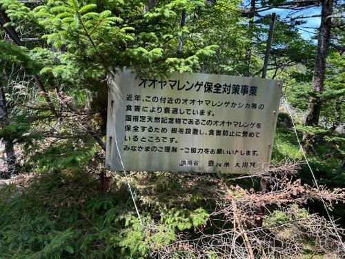 目指せ近畿最高峰の山 弥山 ソロキャンプ フリーサイト △kuuga△さんのキャンプブログ CAMPiii（キャンピー） -キャンプ専用SNS キャンプのすべてがここに集まる-