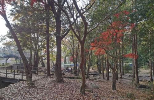 103回目のキャンプは幸せ大量だった。 海田総合公園キャンプ場 グループキャンプ フリーサイト サイババ-SBBcampさんのキャンプブログ CAMPiii（キャンピー） -キャンプ専用SNS キャンプのすべてがここに集まる-