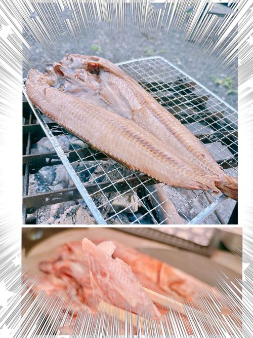 猛暑日を楽しもう🔥真夏の女子ソログル 霊山こどもの村キャンプ場 Oniyomeさんのキャンプブログ CAMPiii(キャンピー) -キャンプ専用SNS キャンプのすべてがここに集まる-