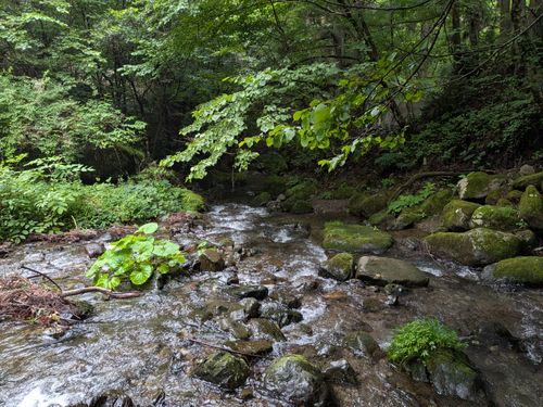 避暑的な感じのつもりが寒かったやぐら沢キャンプ やぐら沢キャンプ場 グループキャンプ 区画サイト ひなはるさんのキャンプブログ CAMPiii（キャンピー） -キャンプ専用SNS キャンプのすべてがここに集まる-
