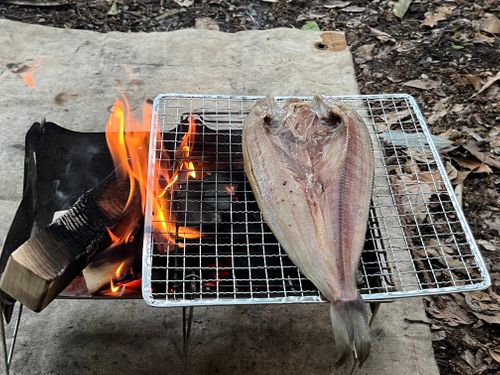 こちらも2回目ハマキャンプ⛺️ 自然館泉ベリーキャンプ場 ソロキャンプ 区画サイト よスさんのキャンプブログ CAMPiii（キャンピー） -キャンプ専用SNS キャンプのすべてがここに集まる-