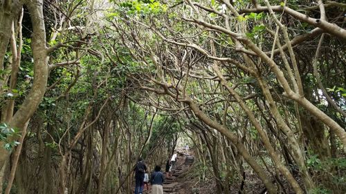会社の仲間とグルキャン 糸島ピクニックビレッジ オートキャンプ場 グループキャンプ 区画サイト スローライフに憧れるさんのキャンプブログ CAMPiii（キャンピー） -キャンプ専用SNS キャンプのすべてがここに集まる-