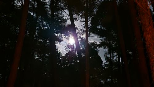 あけおめキャンプは雪でした ＆GREEN龍ケ崎キャンプ場 グループキャンプ フリーサイト ke-nさんのキャンプブログ CAMPiii（キャンピー） -キャンプ専用SNS キャンプのすべてがここに集まる-