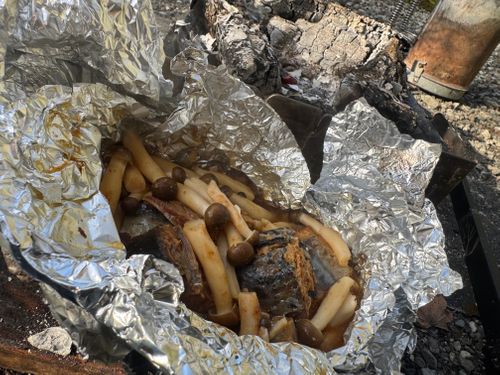 春の夏日キャンプ 丸火自然公園グリーンキャンプ場 ソロキャンプ 区画サイト まっつんさんのキャンプブログ CAMPiii（キャンピー） -キャンプ専用SNS キャンプのすべてがここに集まる-