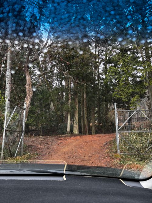 快気祝いグルキャン。 TASTE HOUSE ZEN グループキャンプ フリーサイト あやぴーさんのキャンプブログ CAMPiii（キャンピー） -キャンプ専用SNS キャンプのすべてがここに集まる-