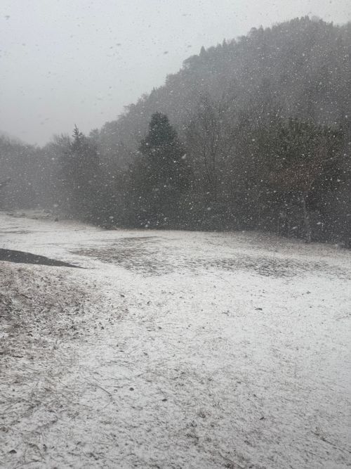 大寒波到来🥶 本郷憩いの森キャンプ場 グループキャンプ フリーサイト まーくんさんのキャンプブログ CAMPiii（キャンピー） -キャンプ専用SNS キャンプのすべてがここに集まる-