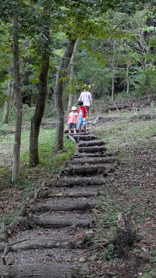 クワガタ探しにクヌギの森へ🌲 CAMP×WOODS ファミリーキャンプ 区画サイト オートサイト ヒゲキャンさんのキャンプブログ CAMPiii（キャンピー） -キャンプ専用SNS キャンプのすべてがここに集まる-