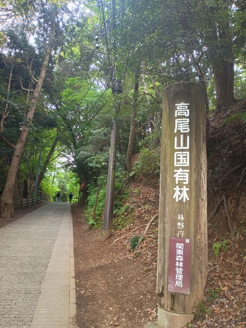 ビーチde軍幕デーキャンプ⇛高尾山 平塚八景 平塚砂丘夕映え ソロキャンプ フリーサイト ウエィダーさんのキャンプブログ CAMPiii（キャンピー） -キャンプ専用SNS キャンプのすべてがここに集まる-
