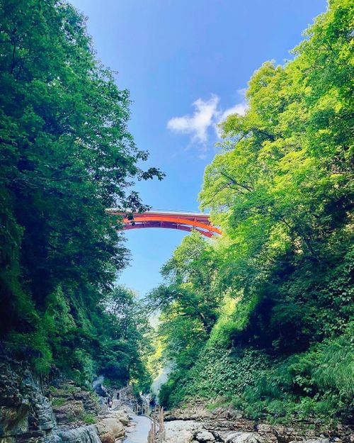 皆んなでコテージ泊🏘🏡🏠暑すぎる🥵2023夏【備忘録】 とことん山キャンプ場 Oniyomeさんのキャンプブログ CAMPiii（キャンピー） -キャンプ専用SNS キャンプのすべてがここに集まる-