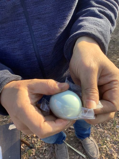 Vol.111 26/NO.01 新年1発目はココで‼️ 坂戸市 ソロキャンプ フリーサイト 🔥焚き火🔥さんのキャンプブログ CAMPiii（キャンピー） -キャンプ専用SNS キャンプのすべてがここに集まる-