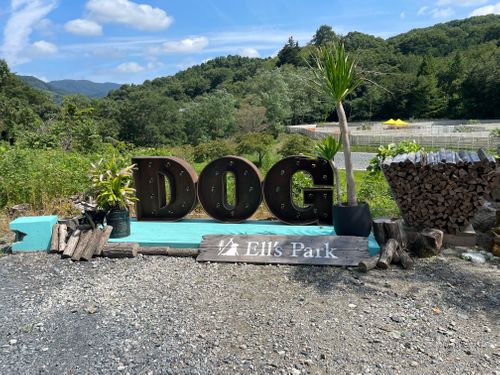 夏の家族旅行 feat. さくら(🐶) Mahoraキャンプ場 ファミリーキャンプ Kojiさんのキャンプブログ CAMPiii（キャンピー） -キャンプ専用SNS キャンプのすべてがここに集まる-