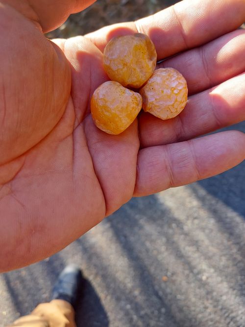 いきなり電車乗り遅れ💦 One and…Nanmoku Another BASE ソロキャンプ 区画サイト ひろ16さんのキャンプブログ CAMPiii（キャンピー） -キャンプ専用SNS キャンプのすべてがここに集まる-