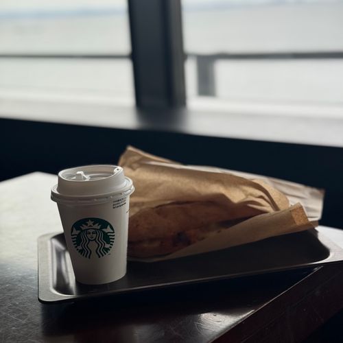 思い立って千葉は鋸南町へ ほしふるキャンプ場 ソロキャンプ 区画サイト xiongmaoさんのキャンプブログ CAMPiii（キャンピー） -キャンプ専用SNS キャンプのすべてがここに集まる-