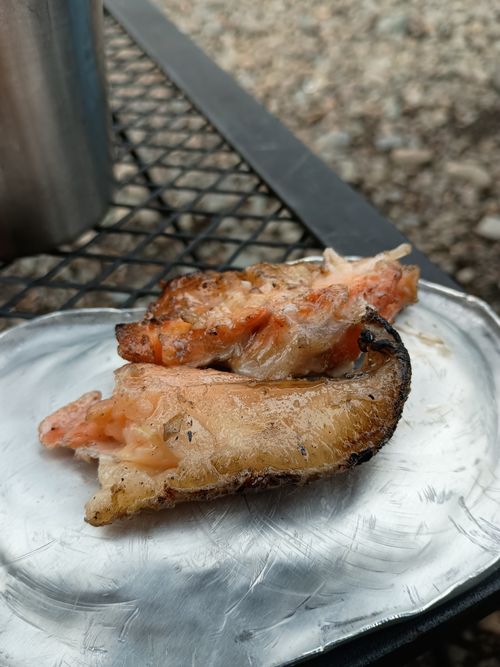 親子 de ポーランド合同演習 in小倉橋駐屯地 小倉橋下の河川敷 ファミリーキャンプ フリーサイト ウエィダーさんのキャンプブログ CAMPiii（キャンピー） -キャンプ専用SNS キャンプのすべてがここに集まる-