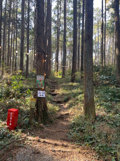 徒歩ソロで行く、いこいの森 RECAMP おだわら 小田原市いこいの森 RECAMP おだわら ソロキャンプ 区画サイト ma9さんのキャンプブログ CAMPiii（キャンピー） -キャンプ専用SNS キャンプのすべてがここに集まる-