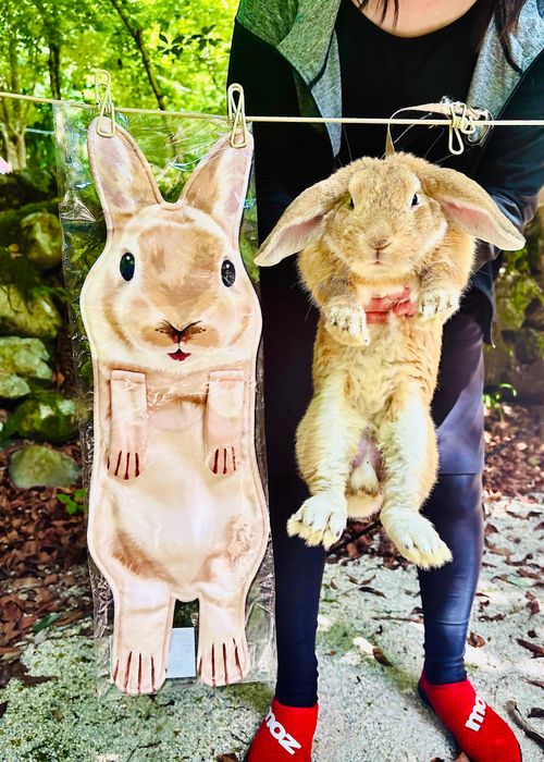 夏だ！川遊びだ！華麗に泳ぐきなこと おじおば🐰キャン△ in 須川家族村オートキャンプ場 〜 CAMP NO.201 須川家族村オートキャンプ場 ファミリーキャンプ グループキャンプ 区画サイト おじキャン△さんのキャンプブログ CAMPiii（キャンピー） -キャンプ専用SNS キャンプのすべてがここに集まる-