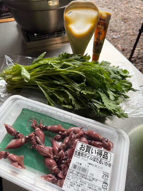 花粉症炸裂キャンプ🤧🏕 TASTE HOUSE ZEN ファミリーキャンプ フリーサイト ぐうたら夫婦さんのキャンプブログ CAMPiii（キャンピー） -キャンプ専用SNS キャンプのすべてがここに集まる-