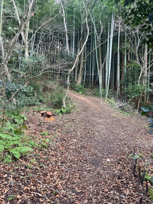 🎊新規キャンプ場オープン🎉🎉🎉 紫星の森 Oniyomeさんのキャンプブログ CAMPiii（キャンピー） -キャンプ専用SNS キャンプのすべてがここに集まる-