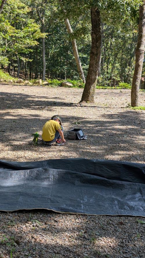 クワガタ探しにクヌギの森へ🌲 CAMP×WOODS ファミリーキャンプ 区画サイト オートサイト ヒゲキャンさんのキャンプブログ CAMPiii（キャンピー） -キャンプ専用SNS キャンプのすべてがここに集まる-