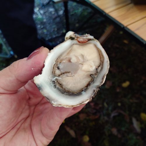 お初のめちゃ燃えファイヤー 鉄山キャンプ場 グループキャンプ フリーサイト まなちんさんのキャンプブログ CAMPiii（キャンピー） -キャンプ専用SNS キャンプのすべてがここに集まる-