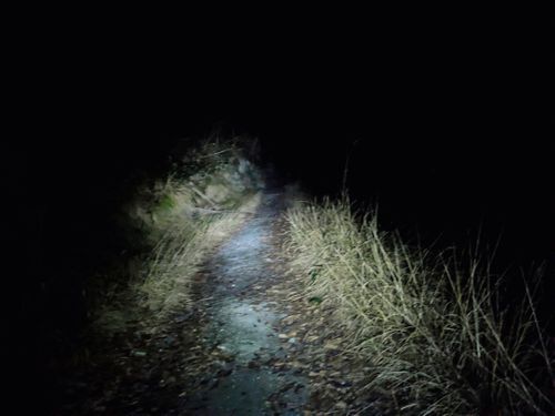 年末キャンプ🏕️ 大阪府 ソロキャンプ フリーサイト ぞのさんさんのキャンプブログ CAMPiii（キャンピー） -キャンプ専用SNS キャンプのすべてがここに集まる-