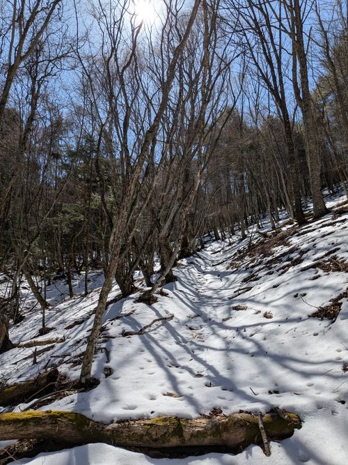 久々のふもとっぱら ふもとっぱらキャンプ場 ソロキャンプ グループキャンプ フリーサイト オートサイト IZUIZUさんのキャンプブログ CAMPiii（キャンピー） -キャンプ専用SNS キャンプのすべてがここに集まる-