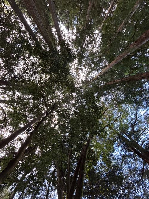 久しぶりのWOODSMAN WOODSMAN CAMPGROUND ソロキャンプ フリーサイト Genさんのキャンプブログ CAMPiii（キャンピー） -キャンプ専用SNS キャンプのすべてがここに集まる-