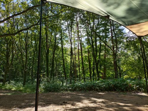 やっと来れた聖湖キャンプ場🏕️ 聖湖キャンプ場 ソロキャンプ フリーサイト ＪＩＭＭＹさんのキャンプブログ CAMPiii（キャンピー） -キャンプ専用SNS キャンプのすべてがここに集まる-
