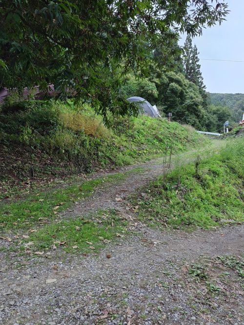 第二弾県外へ 秋キャンプ⛺️ 子安温泉 ファミリーキャンプ 区画サイト オートサイト セツさんのキャンプブログ CAMPiii(キャンピー) -キャンプ専用SNS キャンプのすべてがここに集まる-