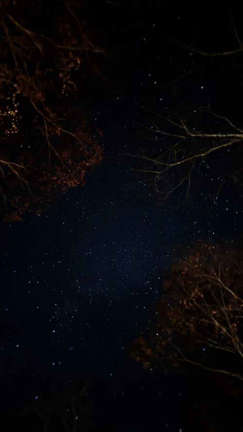 1122による紅葉キャンプ🍁 遊水峡 ファミリーキャンプ 区画サイト オートサイト はるかさんのキャンプブログ CAMPiii（キャンピー） -キャンプ専用SNS キャンプのすべてがここに集まる-