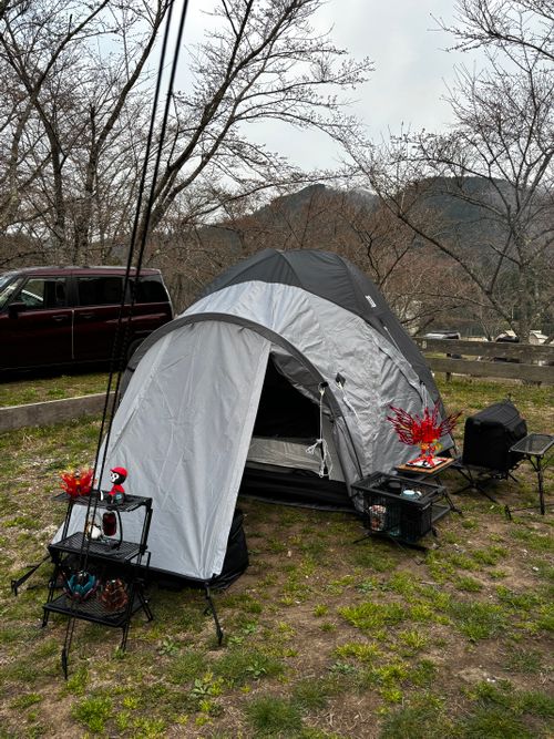 春休み、異動前キャンプ ゴリラフィールドとよのキャンプ場 GORILLA FIELD TOYONO グループキャンプ 区画サイト あやぴーさんのキャンプブログ CAMPiii（キャンピー） -キャンプ専用SNS キャンプのすべてがここに集まる-