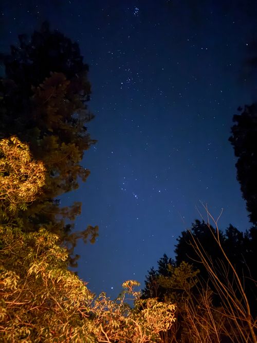 CAMPiii（キャンピー） ちはみなさんのキャンプブログ 久しぶりの穏やかなキャンプ Foresters Village Kobitto あさぎりキャンプフィールド