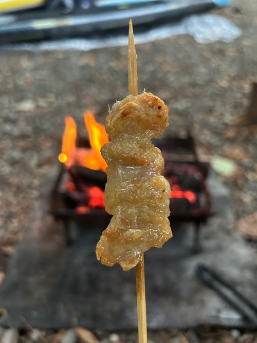 全力中年、初SUP 本栖湖いこいの森キャンプ場 ソロキャンプ グループキャンプ 区画サイト Genさんのキャンプブログ CAMPiii(キャンピー) -キャンプ専用SNS キャンプのすべてがここに集まる-