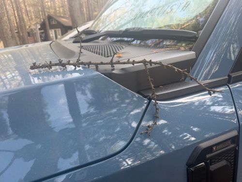 落下注意 PICA八ヶ岳明野 グループキャンプ 区画サイト スモーキーさんのキャンプブログ CAMPiii（キャンピー） -キャンプ専用SNS キャンプのすべてがここに集まる-