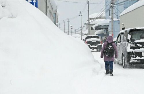 もう雪景色はおなかいっぱい&hellip;なので、現実逃避【備忘録】 エンゼルフォレスト那須白河｜ペットと泊まれる宿 Oniyomeさんのキャンプブログ CAMPiii（キャンピー） -キャンプ専用SNS キャンプのすべてがここに集まる-