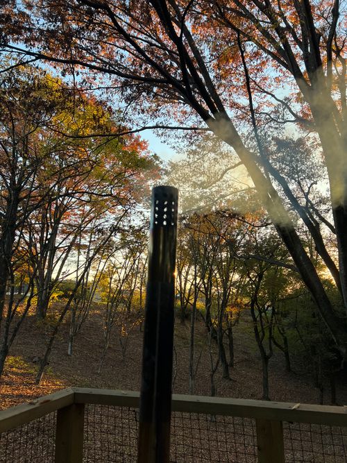 秋晴れキャンプ🏕️🍂 パークフィールド スノーピーク豊田鞍ヶ池 ファミリーキャンプ グループキャンプ 区画サイト 庭キャン+さんのキャンプブログ CAMPiii（キャンピー） -キャンプ専用SNS キャンプのすべてがここに集まる-