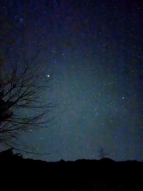 雪中キャンのおすすめ さくら街道みぼろ湖畔オートキャンプサイト ソロキャンプ 区画サイト シルバーズさんのキャンプブログ CAMPiii（キャンピー） -キャンプ専用SNS キャンプのすべてがここに集まる-