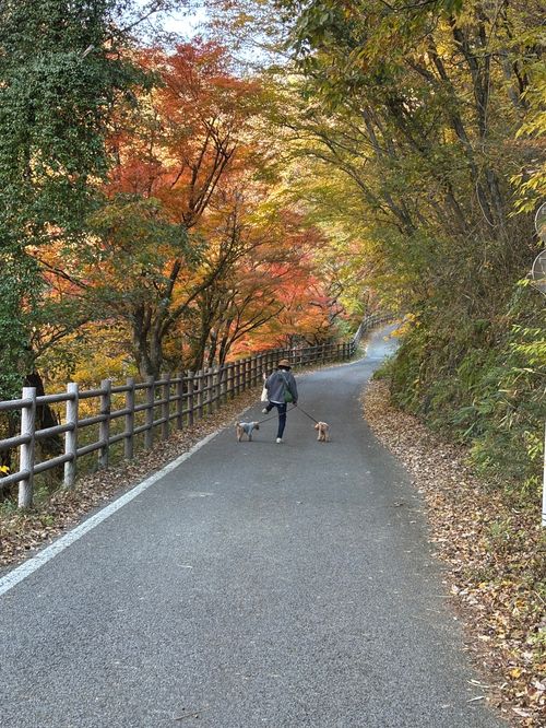 1年半ぶり！やっとやっとキャンプ！！ 昇仙峡オートキャンプ場 ファミリーキャンプ 区画サイト aozoraさんのキャンプブログ CAMPiii（キャンピー） -キャンプ専用SNS キャンプのすべてがここに集まる-