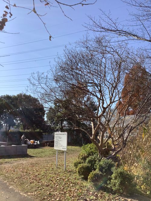 Vol.108 25/NO.27　いつもの場所にて‼️ 坂戸市 ソロキャンプ フリーサイト 🔥焚き火🔥さんのキャンプブログ CAMPiii（キャンピー） -キャンプ専用SNS キャンプのすべてがここに集まる-