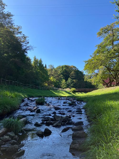 癒しの長万部公園キャンプ場 長万部公園(キャンプ場) ソロキャンプ フリーサイト siroさんのキャンプブログ CAMPiii（キャンピー） -キャンプ専用SNS キャンプのすべてがここに集まる-