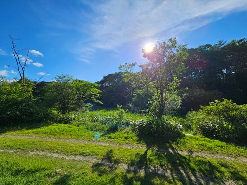 ホタル、アゲイン 小板まきばの里キャンプ場 ソロキャンプ 区画サイト 三代目とっしぃさんのキャンプブログ CAMPiii（キャンピー） -キャンプ専用SNS キャンプのすべてがここに集まる-
