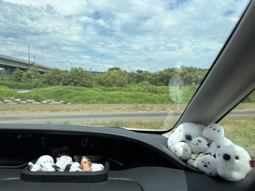 旅する古本屋〜猫のお告げは樹の下で〜 HOSOMINE BASE 細峯ベース ソロキャンプ 区画サイト ぱぱちょさんのキャンプブログ CAMPiii(キャンピー) -キャンプ専用SNS キャンプのすべてがここに集まる-
