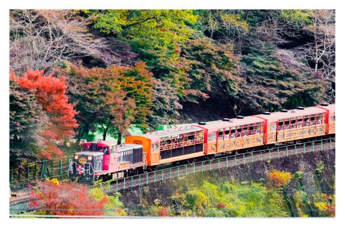 CAMPiii（キャンピー） ENJOY THE OUTDOORSさんのキャンプブログ 全国旅キャンプ第11弾は京都編 保津河川敷キャンプ場