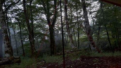 夏休み後半キャンプ ソロキャンプ グループキャンプ フリーサイト まっつんさんのキャンプブログ CAMPiii（キャンピー） -キャンプ専用SNS キャンプのすべてがここに集まる-