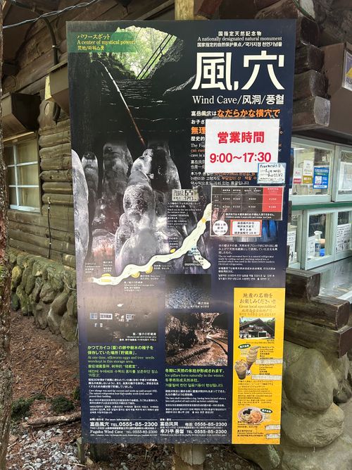 早朝SUP & 樹海ハイク🥾  本栖湖いこいの森キャンプ場 ソロキャンプ グループキャンプ 区画サイト Genさんのキャンプブログ CAMPiii（キャンピー） -キャンプ専用SNS キャンプのすべてがここに集まる-