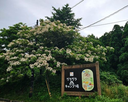 俺のくまキャン   駆け抜ける嵐😆 グループキャンプ ソロキャンプ フリーサイト くまくまさんのキャンプブログ CAMPiii（キャンピー） -キャンプ専用SNS キャンプのすべてがここに集まる-
